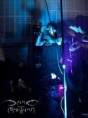 /album/fotogaleria-inicio/envivo-1-jpg/